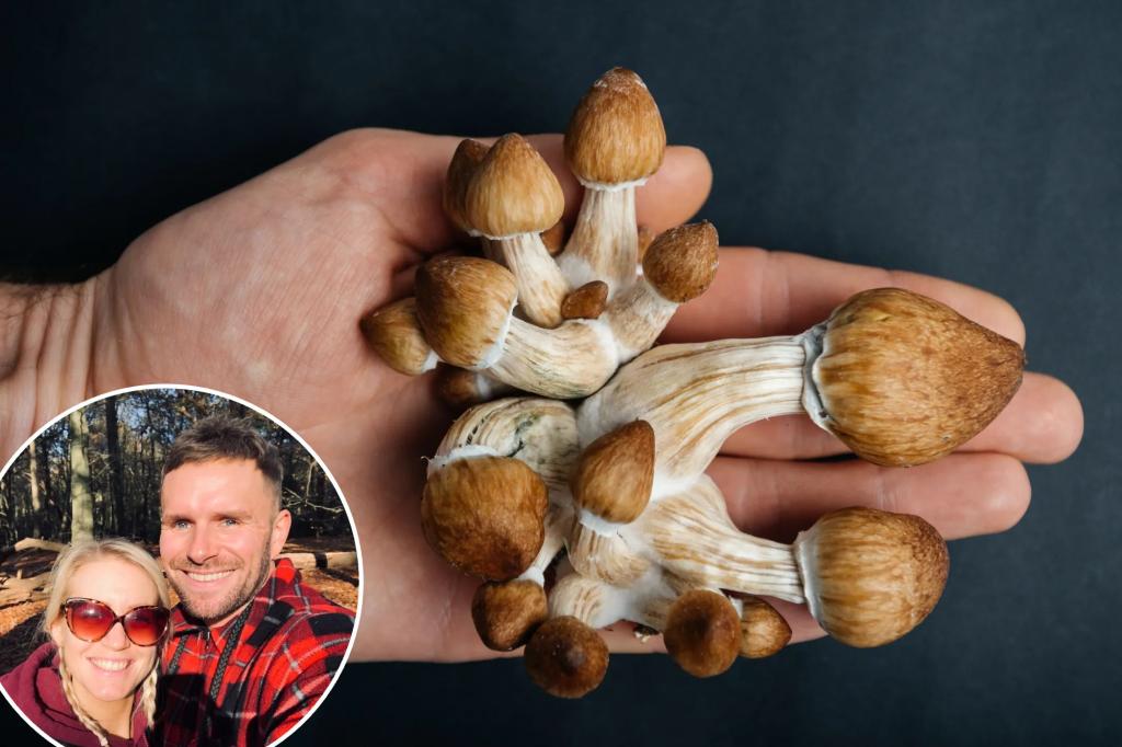 I host psychedelic retreats â why I think magic mushrooms are the new booze